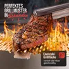 ovicue Grill groß L | Mobiler Steck-Gasgrill – Tragbarer Produktbild-Vorschau 5