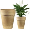 Two terracotta pots, one empty and one with a peace lily plant, are shown against a white background. Produktbild-Vorschau