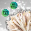 Camerazar Lusso erba di pampa marrone artificiale fascio Anteprima dell’immagine prodotto 4