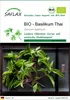 SAFLAX - BIO - Basilikum Thai - Ocimum basilicum - 250 Produktbild-Vorschau 1