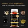 Pure Himalayan Shilajit Gold Gummies (100 gumových Náhled obrázku produktu 6