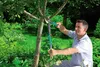 GARDENA SmartCut Ratschen-Astschere Produktbild-Vorschau 20