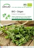 SAFLAX  -- Origan - 1500 graines - Origanum Voir les images du produit 1
