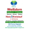 Weissdorn Weißdorn 720 (4x180) Pulver Kapseln - Blätter Produktbild-Vorschau 2