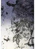 Brandneu Designer T-Shirt CARISMA Indigo Indian-Skull-Print Produktbild-Vorschau 2