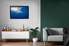 MuchoWow® MuchoWow® Gerahmtes Poster Hai - Meer - Wasser Produktbild-Vorschau 5