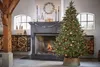 Black Box Trees Frasier Künstlicher Weihnachtsbaum - H185 x Produktbild-Vorschau 2