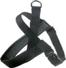 MIAMI PLUS Geschirr 60 - 75cm Halsriemen: 40cm/40mm, Produktbild-Vorschau 3