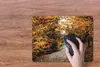 MuchoWow® Mauspad Mousepad Herbstwald - Weg - Laub - Produktbild-Vorschau 3