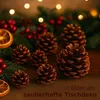 Tannenzapfen, Größe ca. 5-6cm, 1kg, ca. 50 Stk. | Pinus Produktbild-Vorschau 3