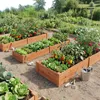 COSTWAY Podwyższona grządka ogrodowa z drewna, 240 x 60 x Podgląd zdjęcia produktu 2