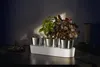 WMF Gourmet Indoor Jardin d'herbes aromatiques, 3 pièces Voir les images du produit 4