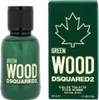 Dsquared2 Green Wood Pour Homme Eau De Toilette Spray 50ml Anteprima dell’immagine prodotto 9