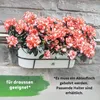 Leni Flori Jardiniere Blumentopf länglich 36 cm lemon / Produktbild-Vorschau 6
