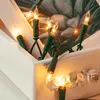 Lichterkette innen 20 klare warme Lichter, beleuchtet Produktbild-Vorschau 7