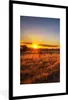MuchoWow® Gerahmtes Poster Sonne - Gras - Baum - Natur Produktbild-Vorschau 1