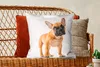 MuchoWow® Zierkissen Sofakissen Wohnzimmer Dekokissen 50x50 Produktbild-Vorschau 5