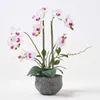 HOMESCAPES Künstliche weiße Phalaenopsis-Orchidee im grauen Produktbild-Vorschau 1