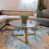 A round coffee table with a plant and a cup of tea on it, placed on a colorful rug in a living room setting with a sofa and an armchair. Náhled obrázku produktu
