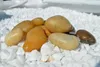 GOLD FLUSSKIES 5-8cm 1kg, HONIGGELB,POLIERT, NATURSTEIN für Produktbild-Vorschau 1