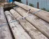 Seilzug mit Ratsche, mit 3 m Seil, Ø 6 mm, bis 1250 kg Produktbild-Vorschau 10