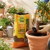frux Kübelpflanzenerde Zitruspflanzenerde 18l Produktbild-Vorschau 6