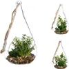 Wazon z rośliną dekoracyjną 10x19,5cm Podgląd zdjęcia produktu 2
