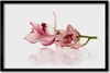 Bild 60x40 MDF-Rahmen, Wandkunst Orchidee Produktbild-Vorschau 1
