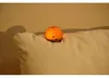 WINKEE Tiny Night Light Igel Produktbild-Vorschau 7