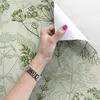 Coloray Fototapete 250x104 cm Latextapete Magicstick - Produktbild-Vorschau 3