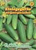 Einlegegurke Vorgebirgstrauben | Einlegegurkensamen von Produktbild-Vorschau 1