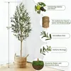 HAUSPROFI Kunstpflanze Olivenbaum 180 cm,Realistische Olive Produktbild-Vorschau 2
