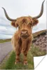MuchoWow® Poster Schottisches Hochlandrind - Kuh - Produktbild-Vorschau 1
