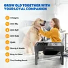 Vulpes Goods stazione di alimentazione per cani, ciotole Anteprima dell’immagine prodotto 8