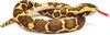 A stuffed toy snake coiled on a white background. Produktbild-Vorschau