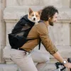 Tragbarer Haustier-Rucksack für Hunde und Katzen bis 20kg – Produktbild-Vorschau 4