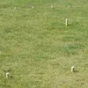 Wikingerspiel Kubb, kleine Größe, im Baumwollbeutel Produktbild-Vorschau 4