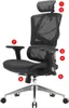SIHOO krzesło biurowe ergonomiczne, lędźwiowe wysokie Podgląd zdjęcia produktu 19