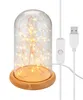 Goobay 60340 Cloche en verre avec micro-chaîne lumineuse Voir les images du produit 1