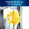 Somat Deo Duo-Perls, 1 Stück (60 Anwendungen) Produktbild-Vorschau 9