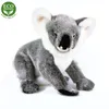 Rappa - Plschtier realistischer Koala Br stehend 25 cm Produktbild-Vorschau 7