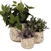Clayre & Eef Pot de fleurs Ø 14x12 cm Beige Jaune Céramique Voir les images du produit 3