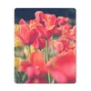 MuchoWow® Mauspad Mousepad Tulpen - Blumen - Natur 30x40 cm Produktbild-Vorschau 1