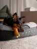 TrendPet LunaLounge hondenbed, grijs (57x45x17 cm) Productafbeelding-voorbeeld 6