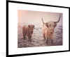 MuchoWow® Gerahmtes Poster Schottische Hochlandbewohner - Produktbild-Vorschau 1