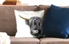 MuchoWow® Zierkissen Sofakissen Wohnzimmer Dekokissen 45x45 Produktbild-Vorschau 2