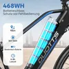 E-Bike Cityrad C29 Lite Damen Citybike 468Wh 250W Motor Produktbild-Vorschau 6