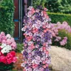 A trellis covered in a mix of purple, pink, and white clematis flowers, set in a garden with other flowering plants and greenery. Produktbild-Vorschau