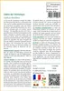 SAFLAX  - Cèdre de l'Himalaya - 35 graines - Cedrus Voir les images du produit 3