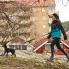 Non-stop dogwear Hundeleine Touring Bungee Leash Produktbild-Vorschau 10